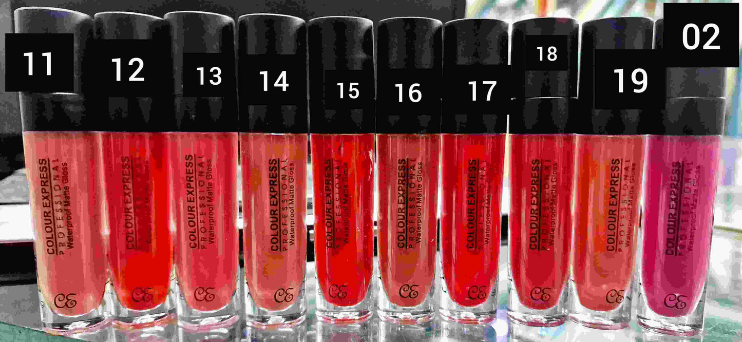 Color Express professional WaterProof Matte Gloss