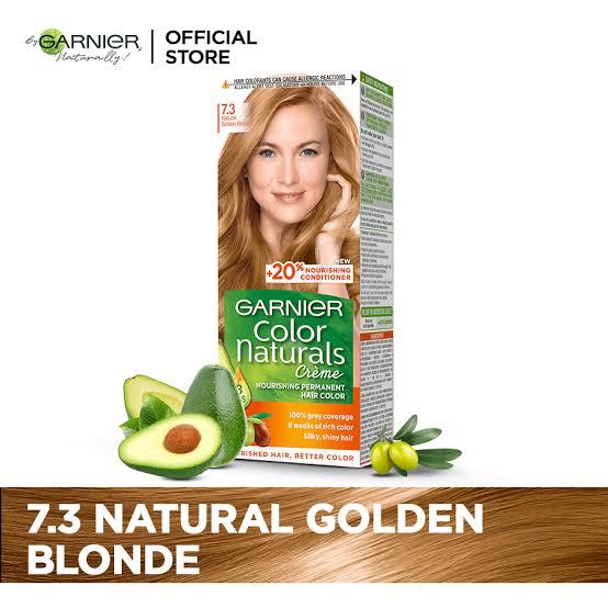 Garnier Hair Color