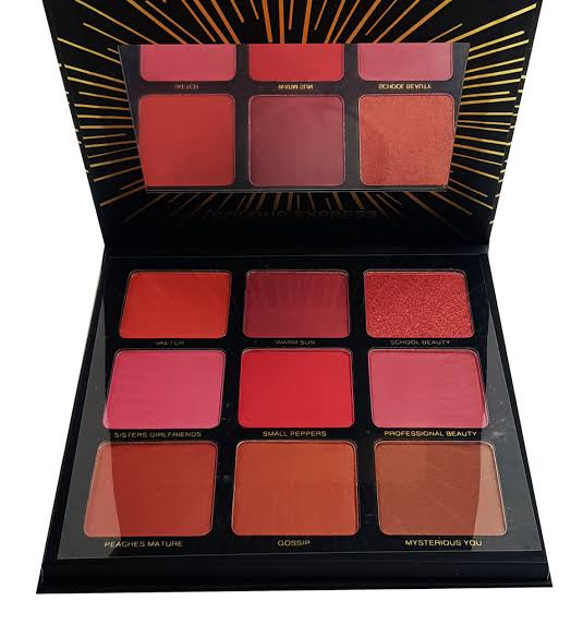 Color Express professional B Ultimate fashion Blush 9 shades