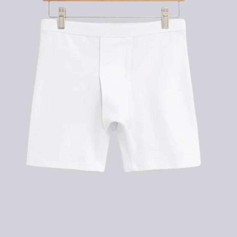 Hinz hinz Men boxer 502