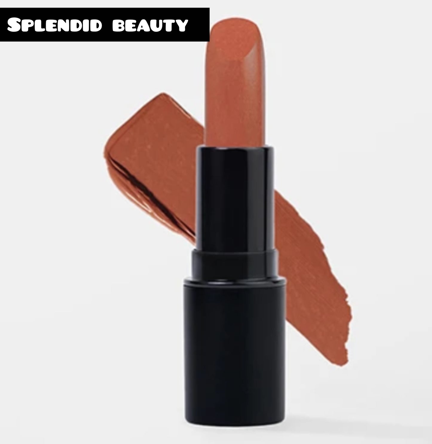 Vida New York Matte Matters Lipstick